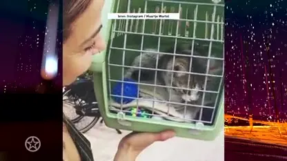 Gezinsuitbreiding voor Georgina Verbaan en vriendin