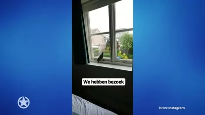 Jan Versteegh pakt ongenode gast bij de kladden