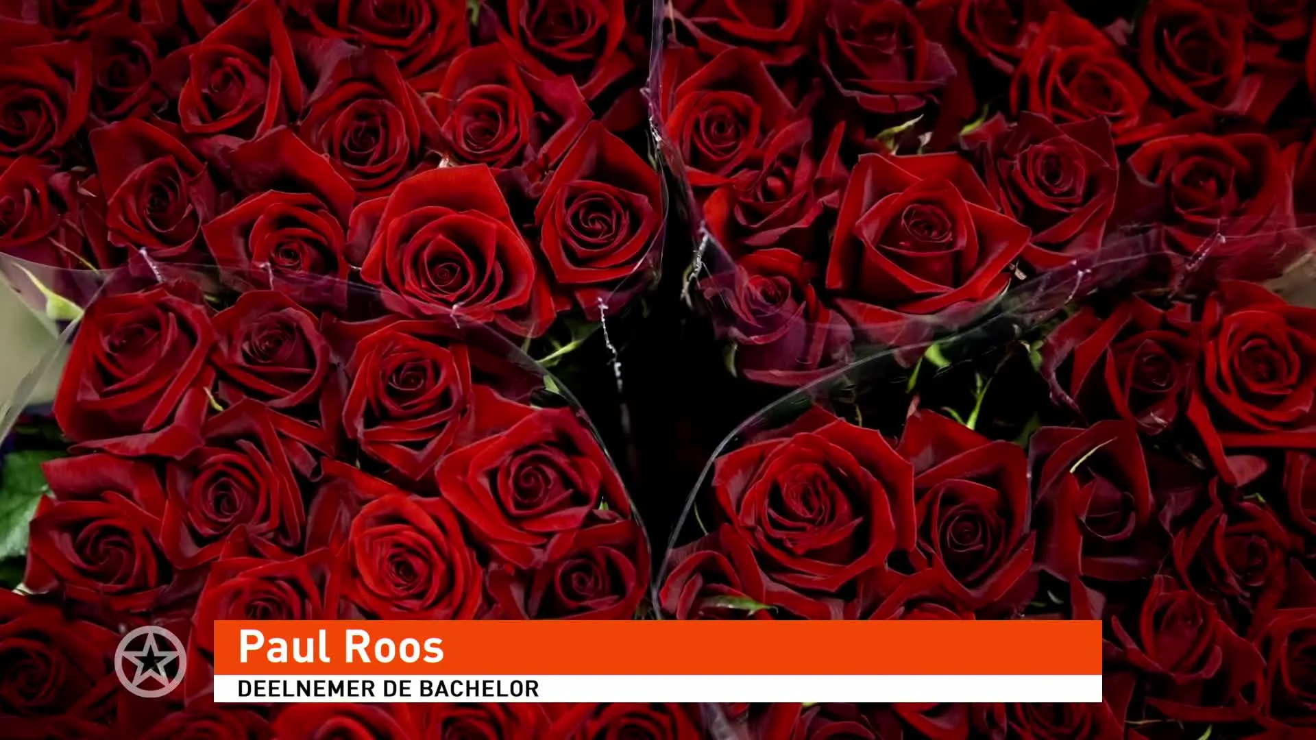 Bachelor-Paul onthult pikante details over dreamdates