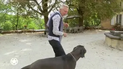 De Meilandjes op zoek naar een groter chateau