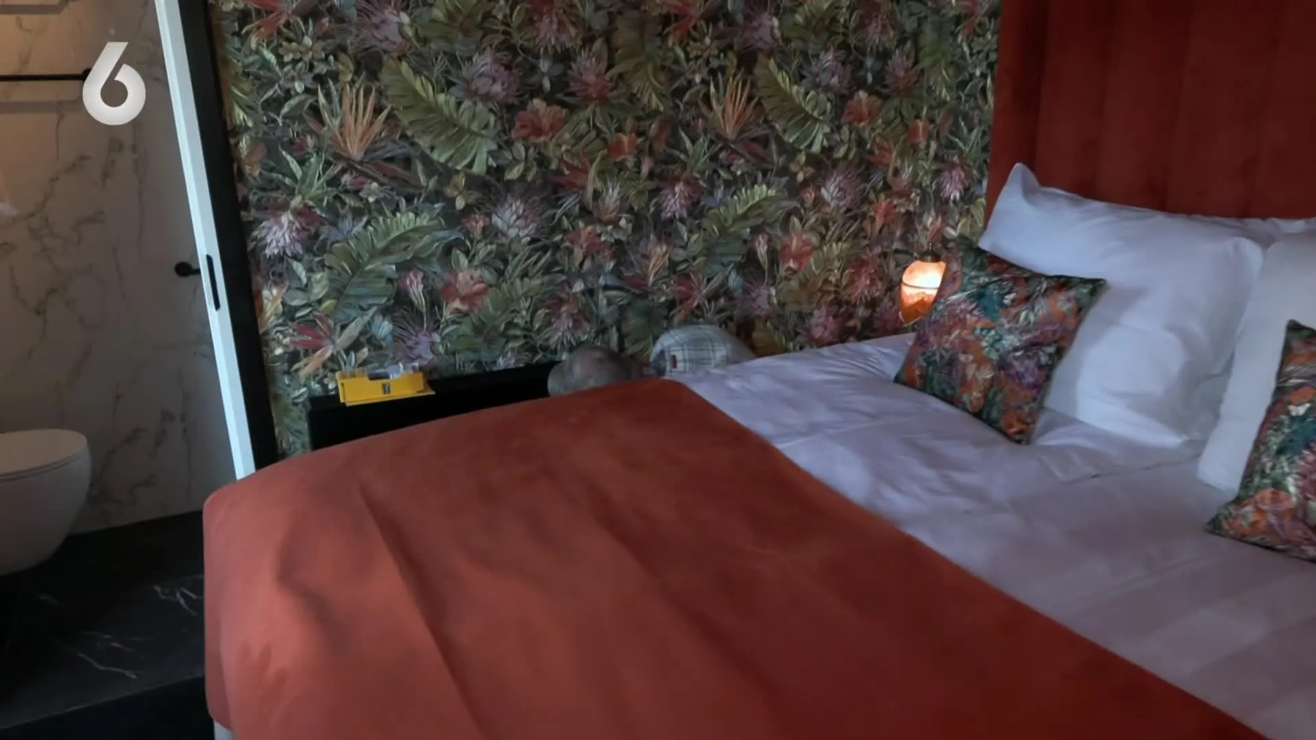 Grote plannen met opgezette Bommel