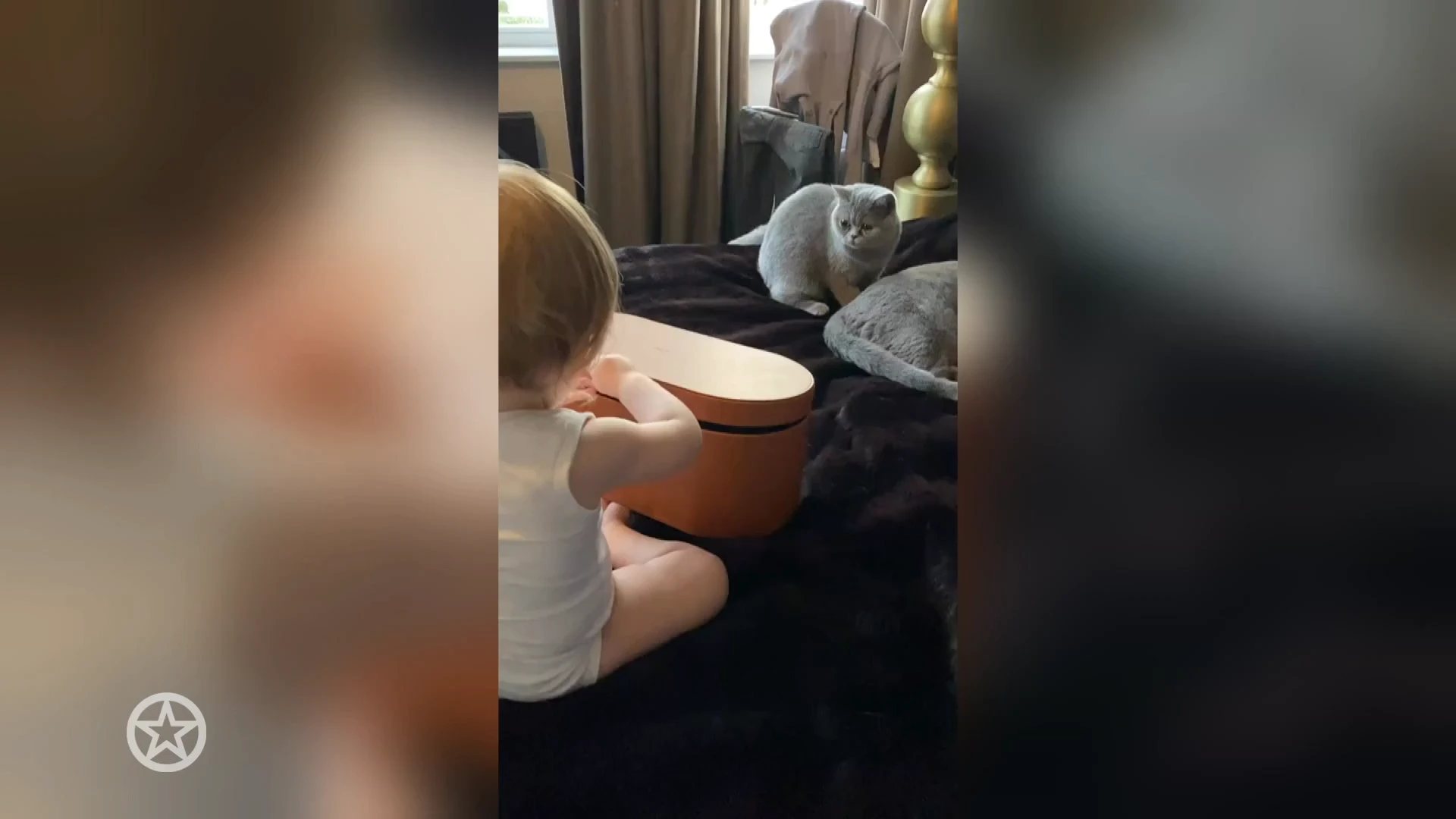 Vivé Meiland geeft modeadvies aan katten