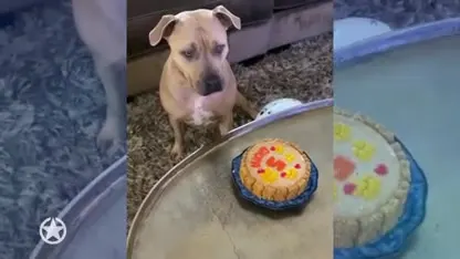 Monique hangt de slingers op voor een heel bijzonder iemand!