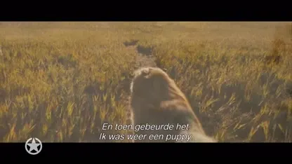 Bekende honden en hondenbaasjes op première A Dog's Journey