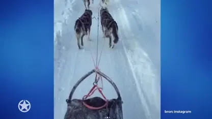 Volgers stomverbaasd door nieuwe uiterlijk Dennis van der Geest