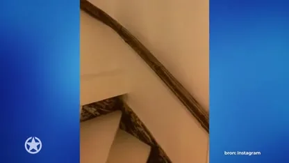 ZIEN: Bridget laat hele huis zien!