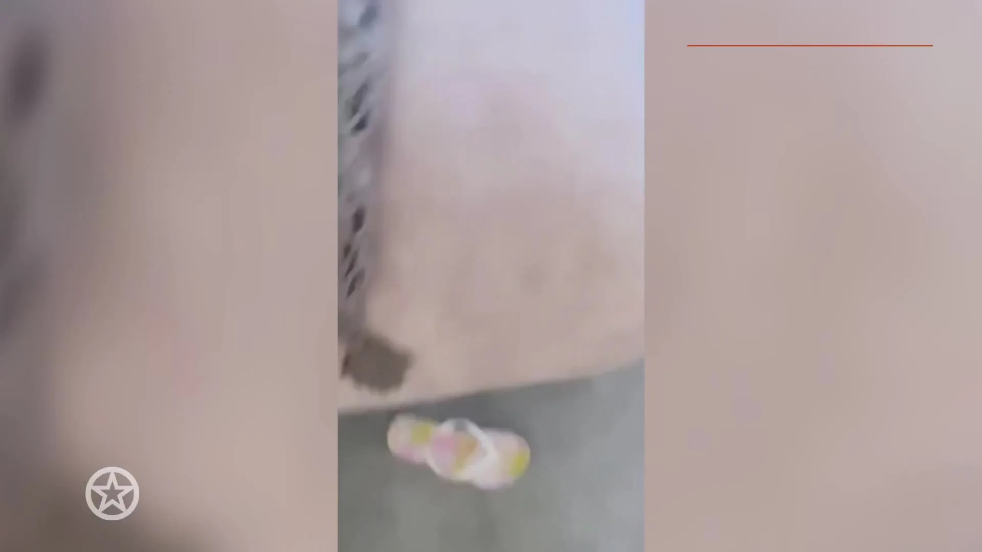 Nicolette Kluijver gestoken door schorpioen