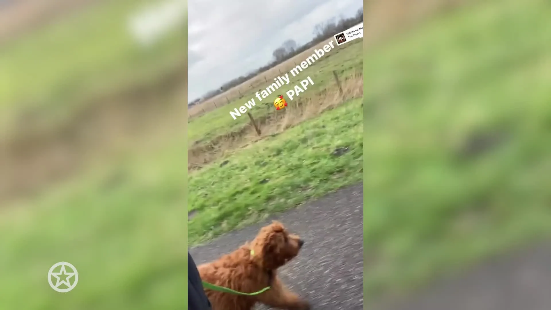 Gezinsuitbreiding voor Anouk.mp4