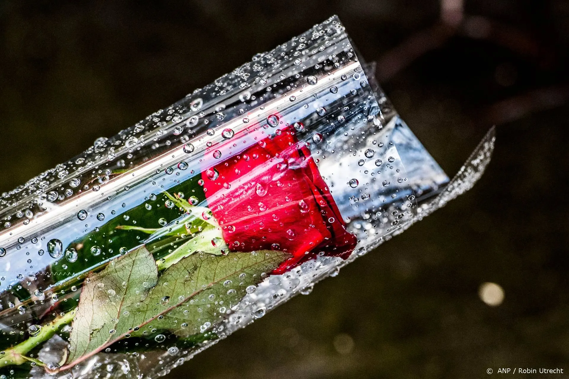 Britse actrice Rosalind Knight (87) overleden