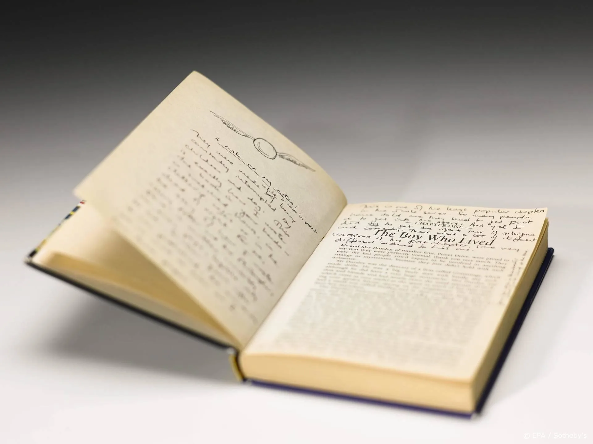 Eerste editie Harry Potter levert 60.000 pond op