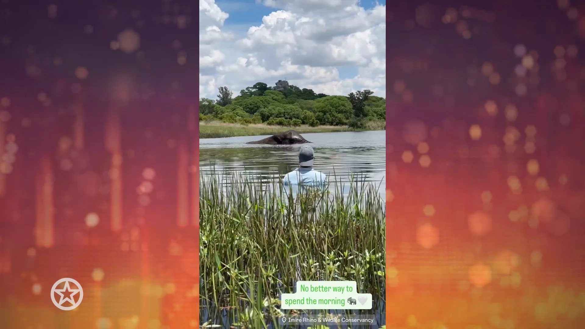 Freek Vonk bijzondere zwemtocht met olifanten