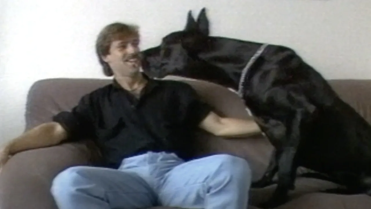 Classic op Dierendag: René doet een kunstje met zijn reusachtige hond (1985)