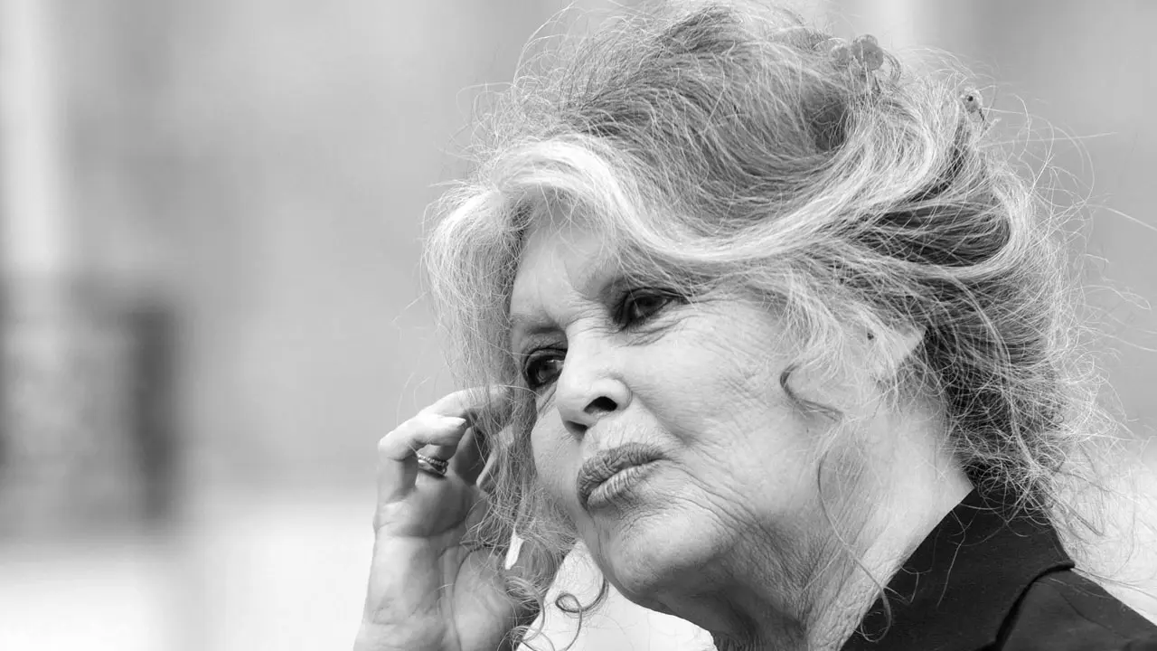 Franse actrice Brigitte Bardot (91) overleden