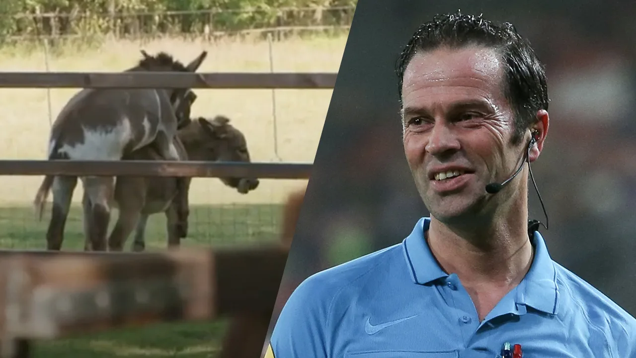 Interview Bas Nijhuis bruut verstoord door parende ezels