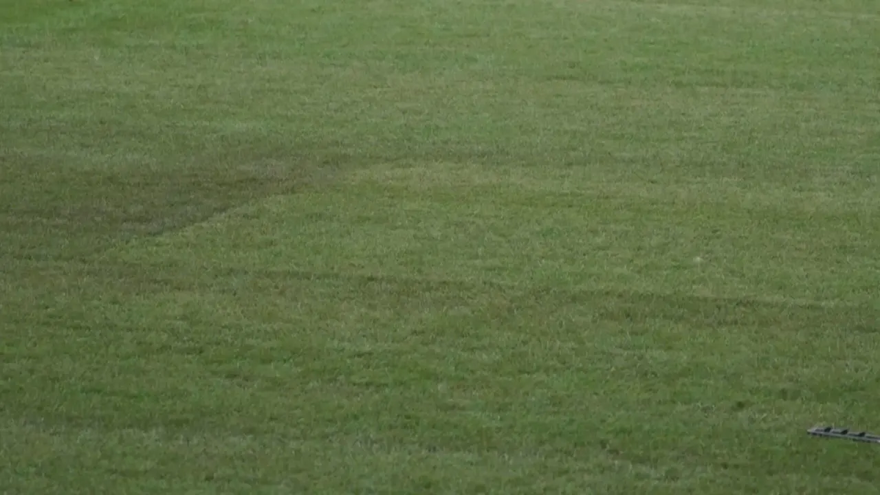 'Plaggen in ArenA kwamen na vijf minuten al omhoog op laatste training Ajax voor duel met Vojvodina'