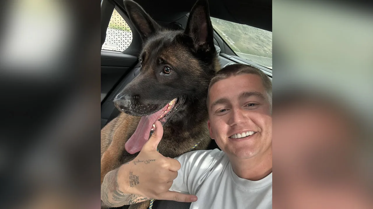 Hond Mart Hoogkamer niet helemaal ongeschonden teruggevonden: 'Hij is aangereden'