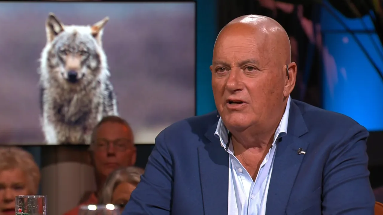 Jack van Gelder noemt oplossing voor geslachte schapen: ‘Afknallen die wolven!'