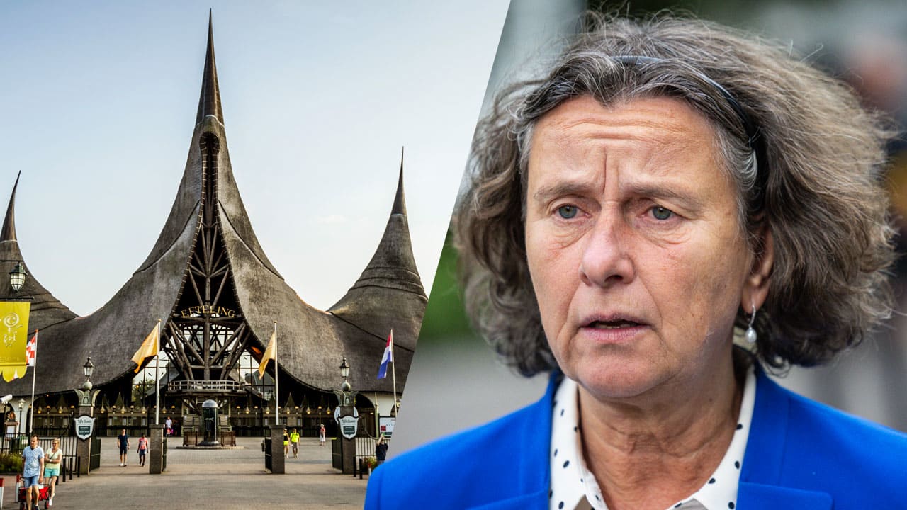 Geld van inzamelacties voor 'Efteling-uitje' gaat naar hulporganisaties