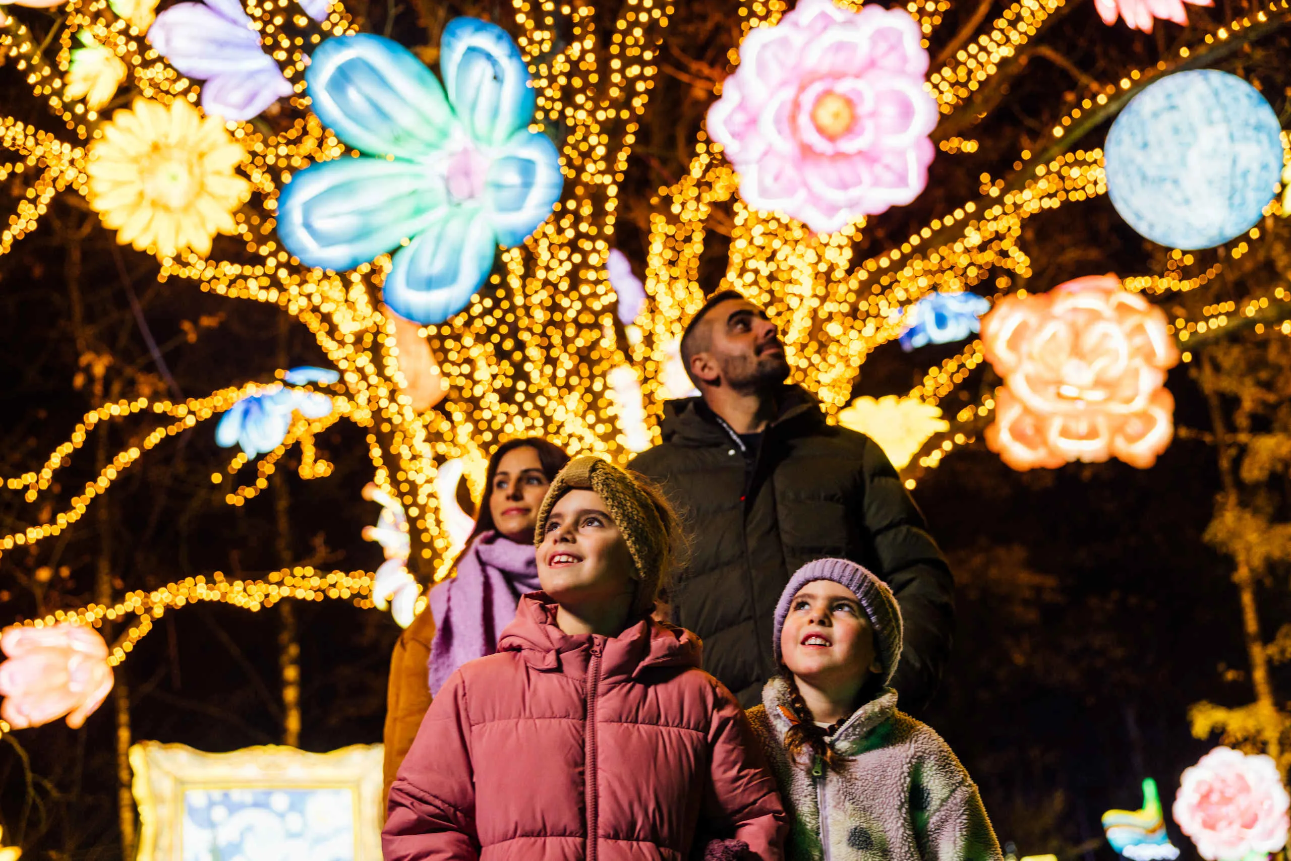 Win tickets voor Light Safari in Safaripark Beekse Bergen