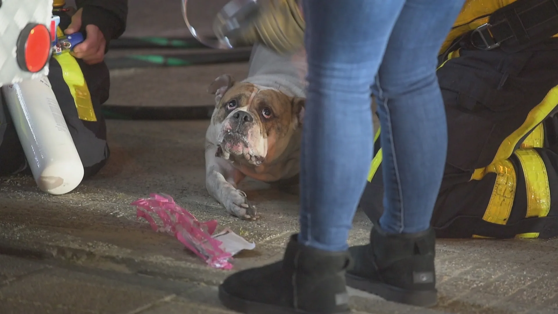Politie pakt bewoner van appartementencomlex Breda op na brand, hond raakt gewond
