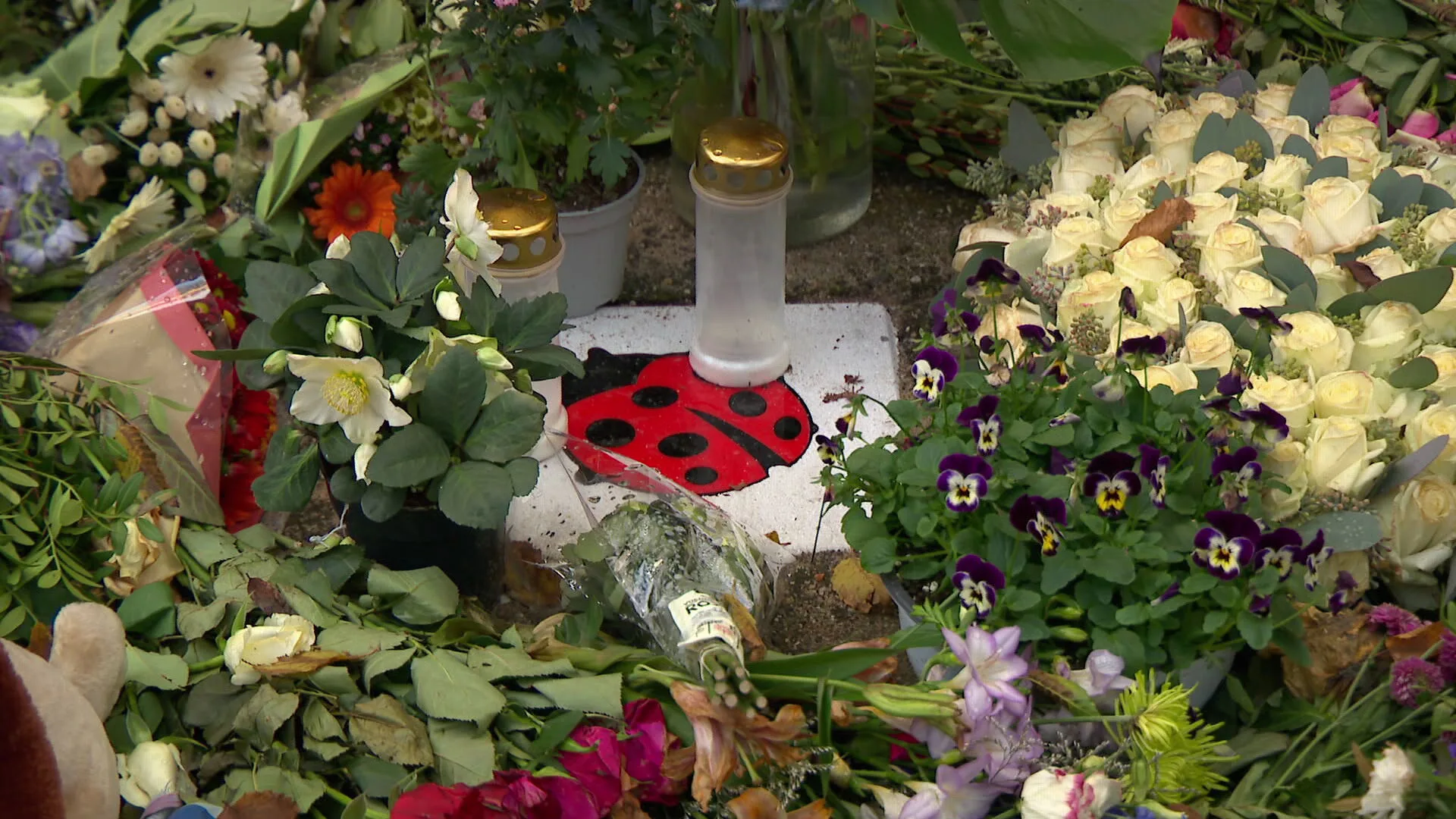 26 jaar strijd tegen zinloos geweld: 'De wereld is gek, maar je kunt 'm zelf veranderen'