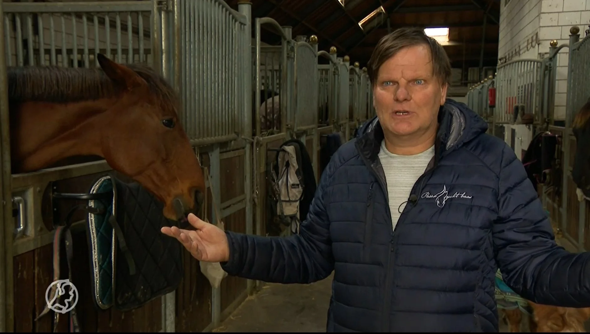 Paardenopvang slachtoffer van 'hondsbrutale' diefstal: 'Ze deden er meer dan een uur over'