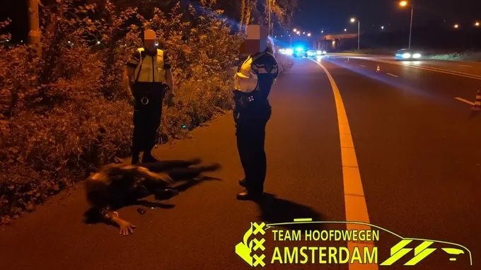 Voetganger 'knapt uiltje' op vluchtstrook langs A2 Amsterdam