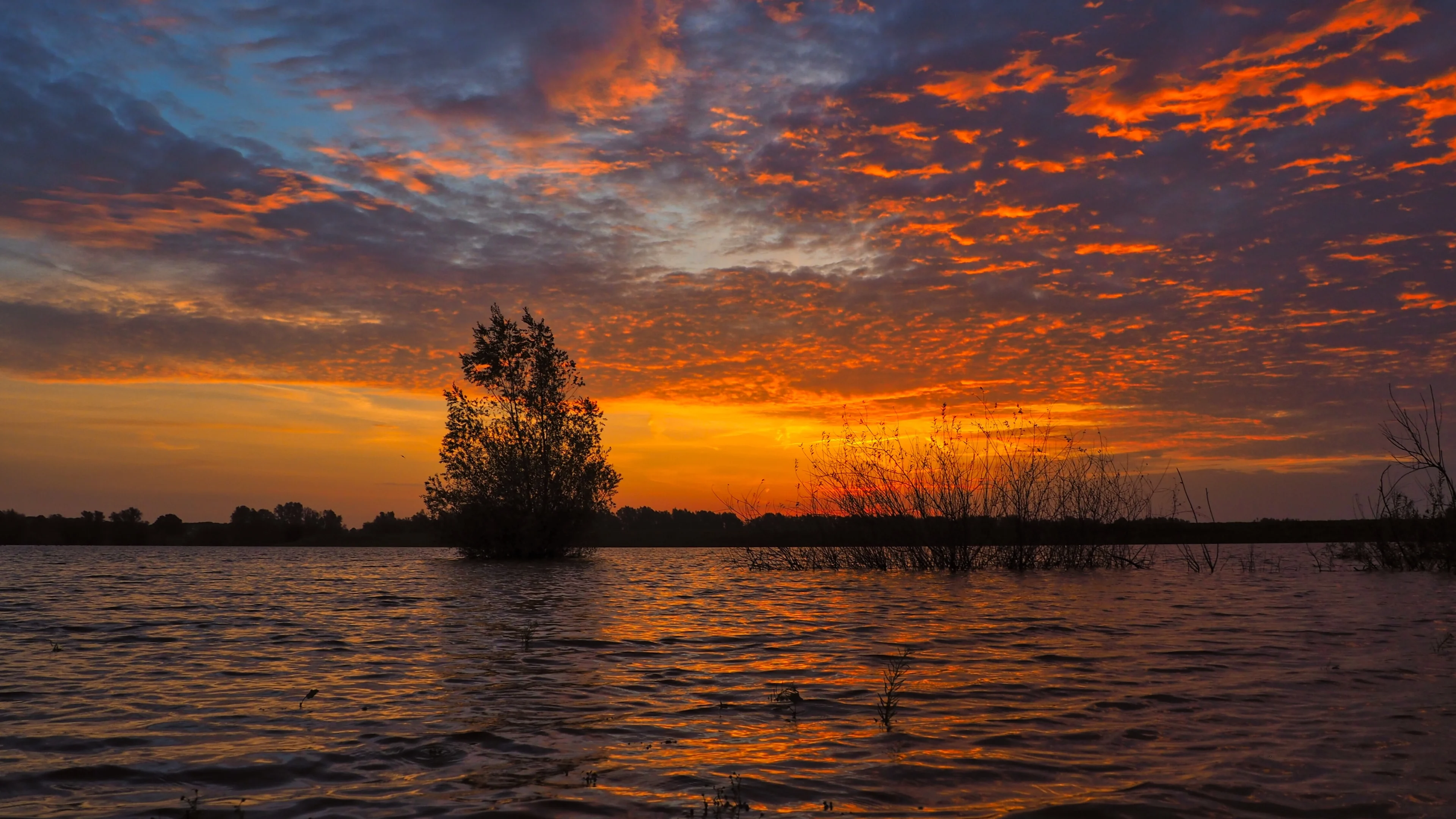Niet alleen warmte dit weekend: krijgen we zondag bloedregen?