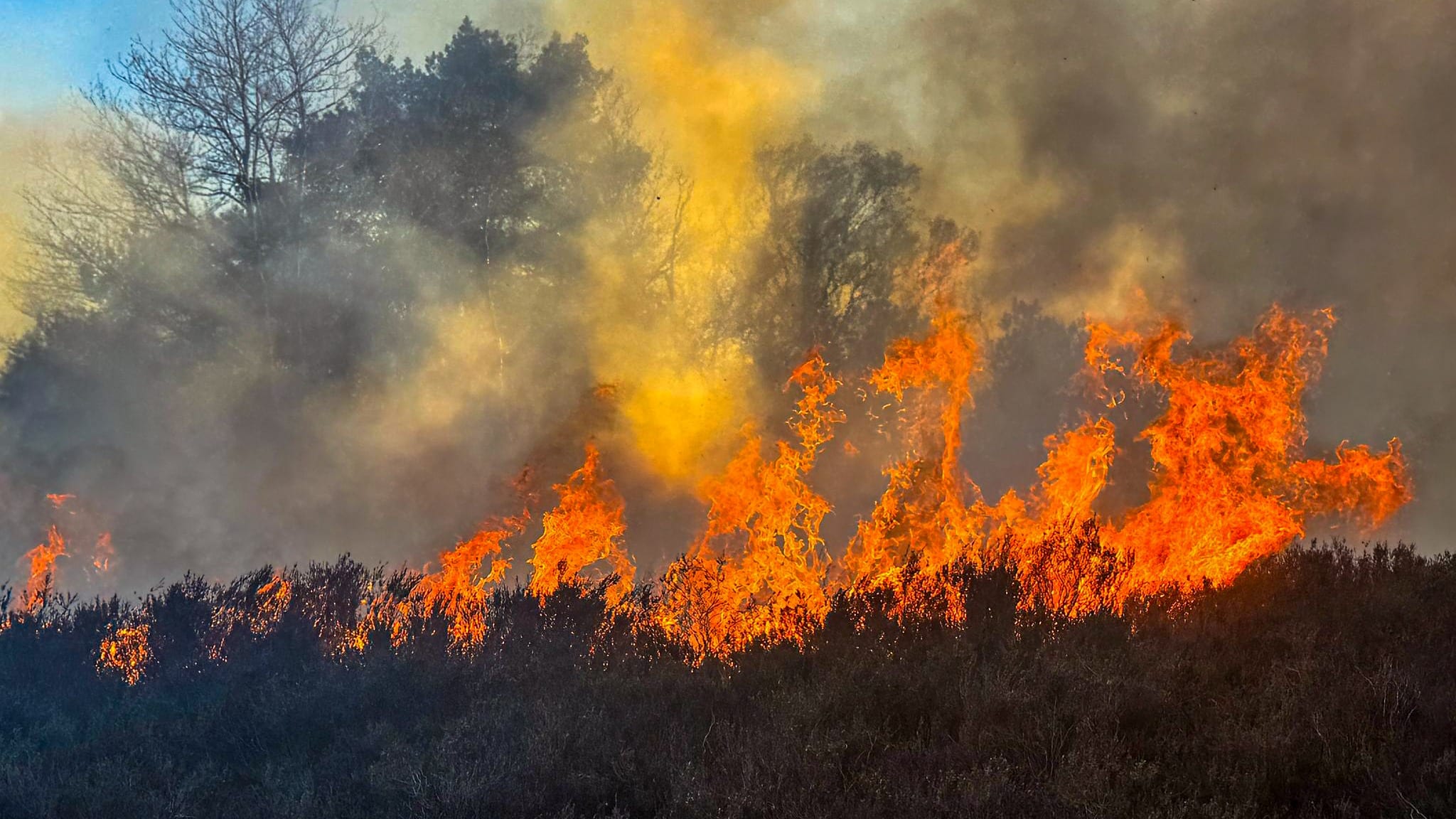 Meerdere heidebranden op Veluwe, politie doet onderzoek naar brandstichting