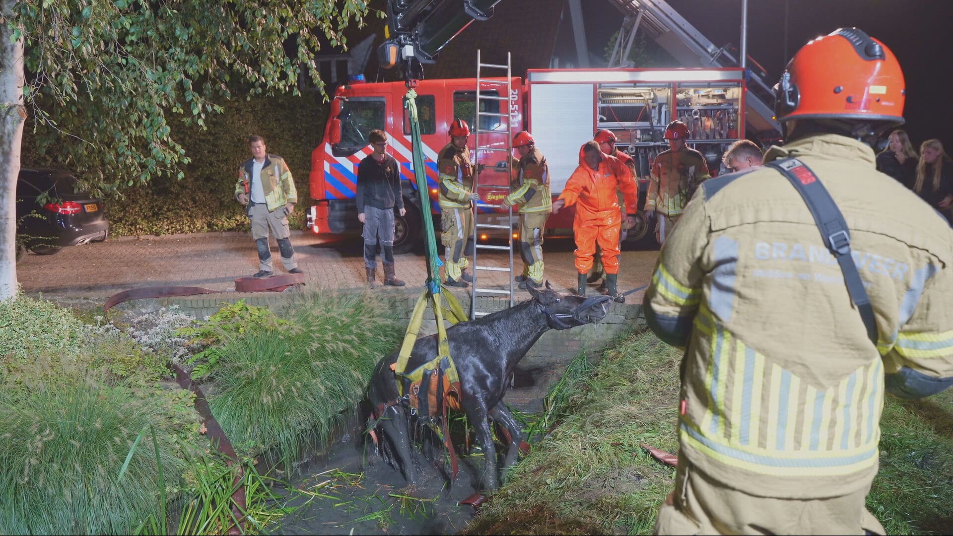 Paard schrikt en valt in sloot in Genderen, brandweer moet dier met kraan redden