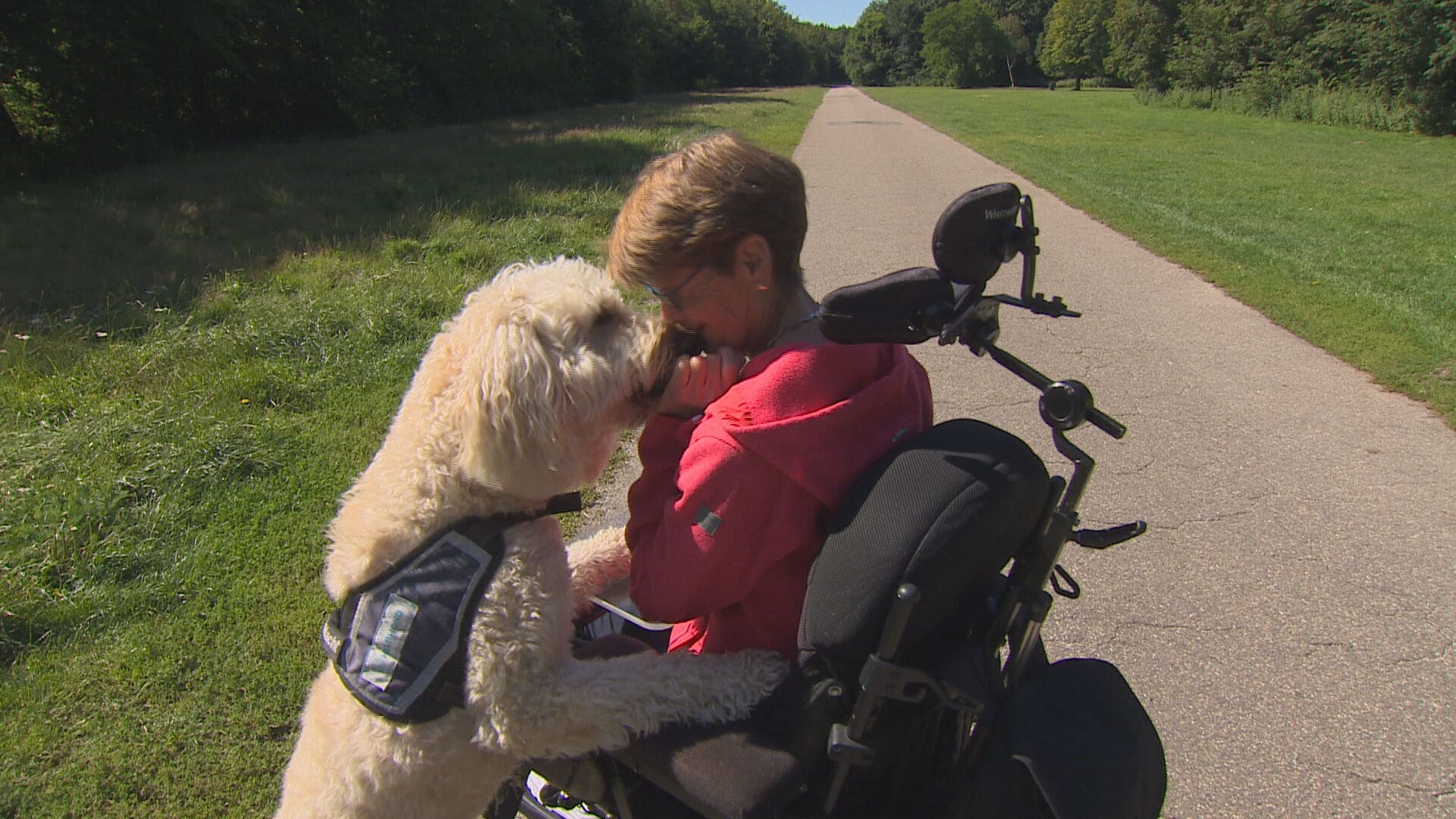 Haarlemse Erna rijdt 750 kilometer in rolstoel voor het opleiden van veteranenhonden