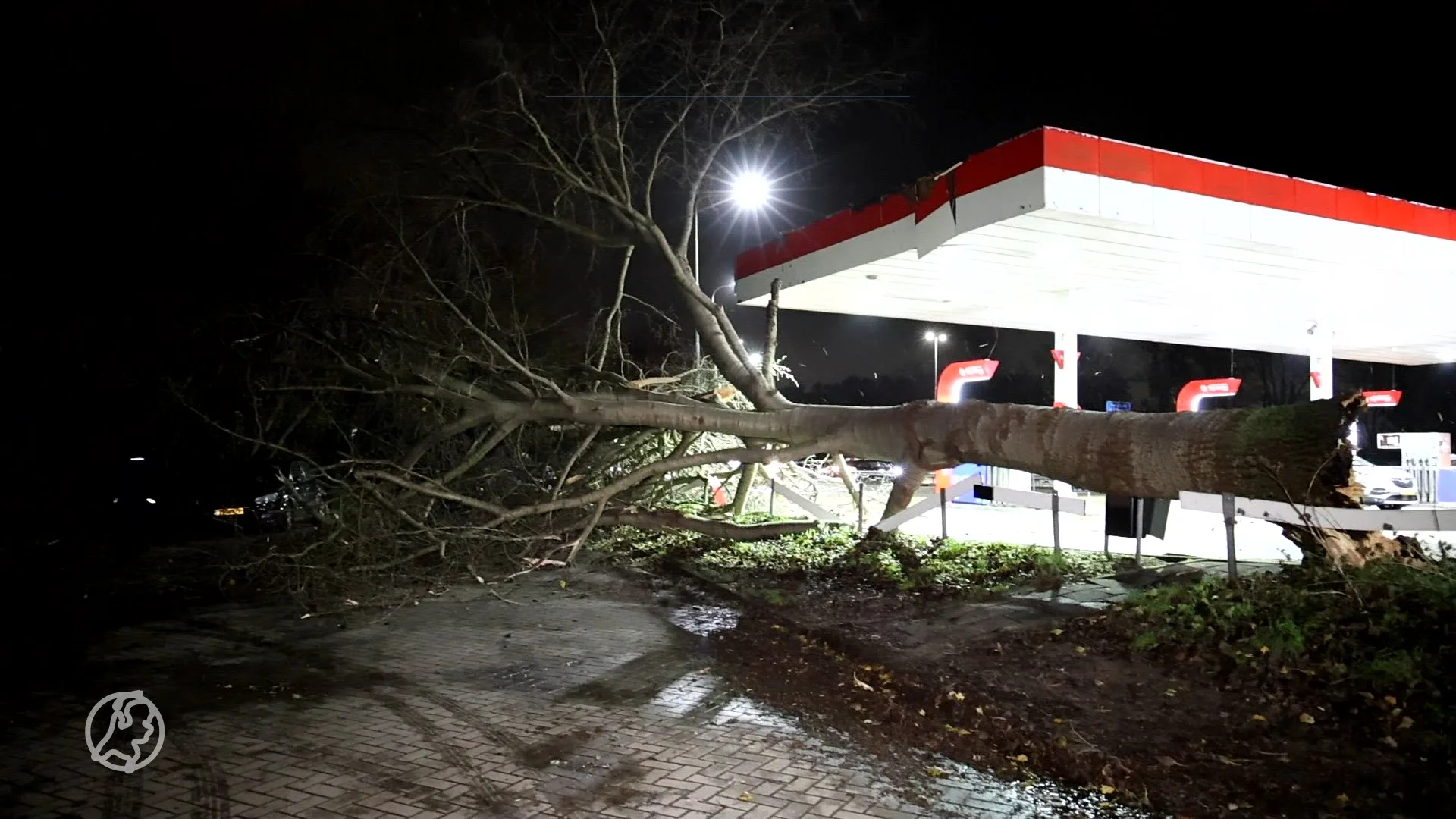 Honderden schademeldingen na storm Conall, Noord-Holland zwaarst getroffen