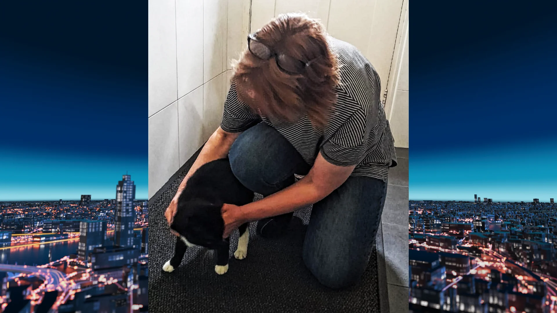 Poes Fiona was jarenlang spoorloos maar dankzij chip nu weer terecht