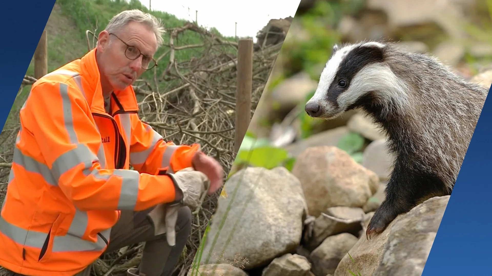Das veel vaker bij spoor dan gedacht, maar ProRail 'reageert beetje overdreven'
