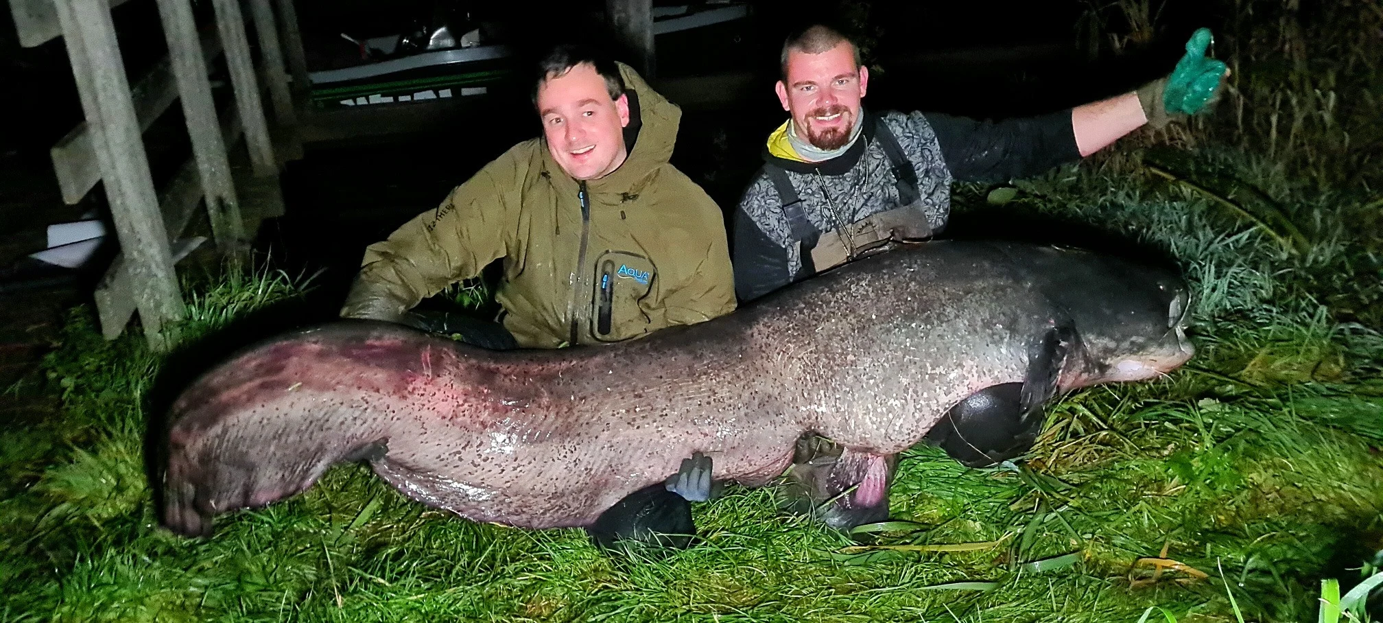 Jeroen hengelt grootste meerval van de Benelux binnen: 'Mooier kan niet!'