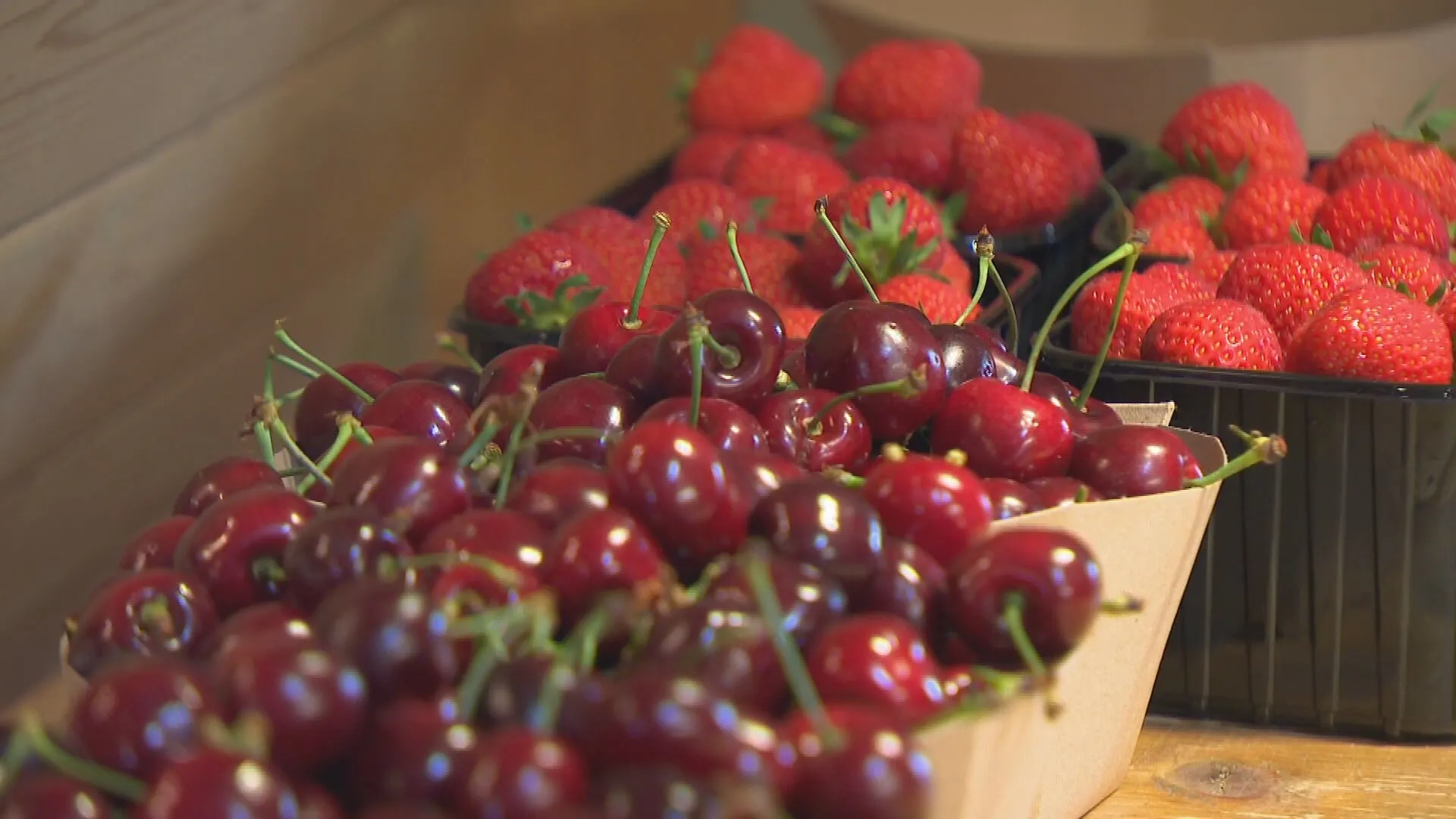 Kersenoogst voor Vaderdag is mislukt, gelukkig zijn de aardbeien in overvloed