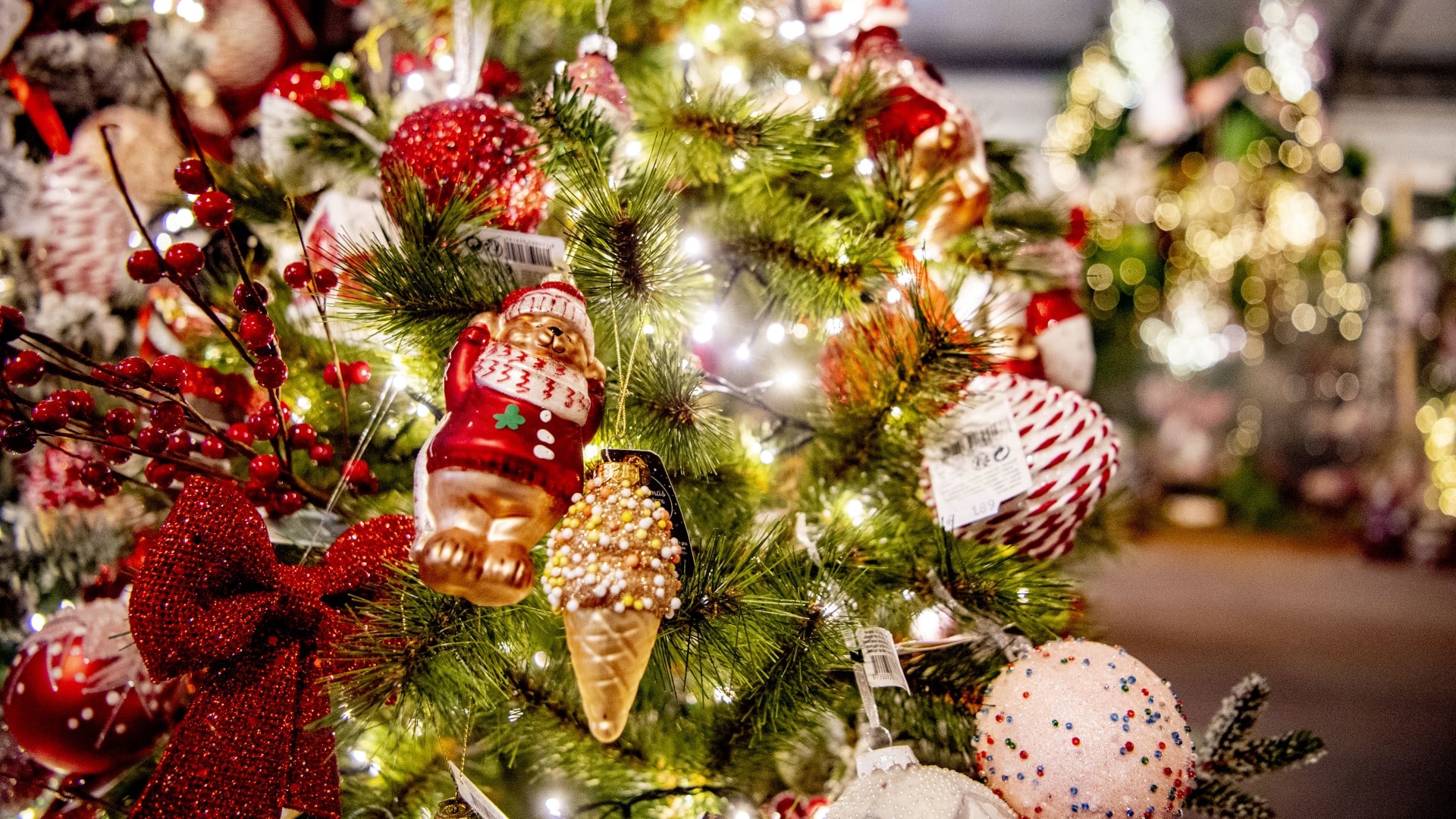 Dit moet je weten als je een kerstboom gaat kopen