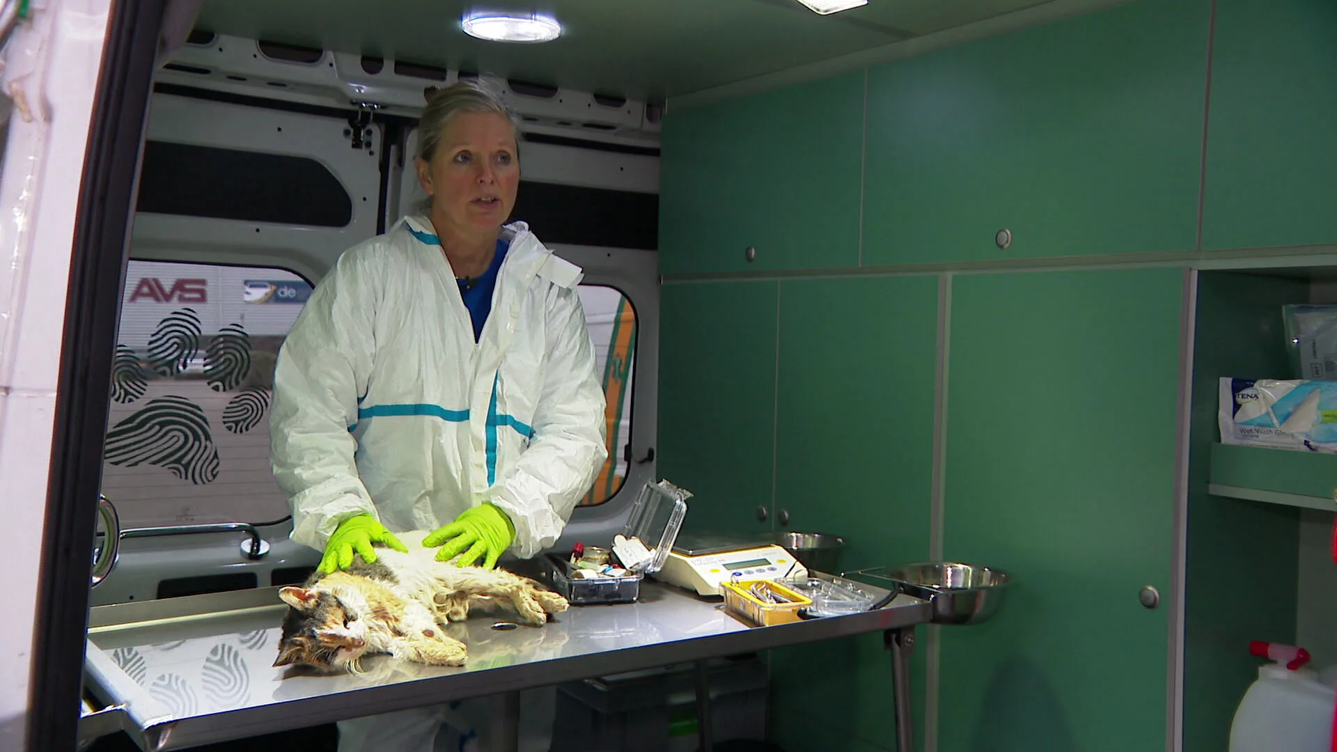 Monique is de enige in Nederland die dode mishandelde dieren onderzoekt, maar verdient er niks aan
