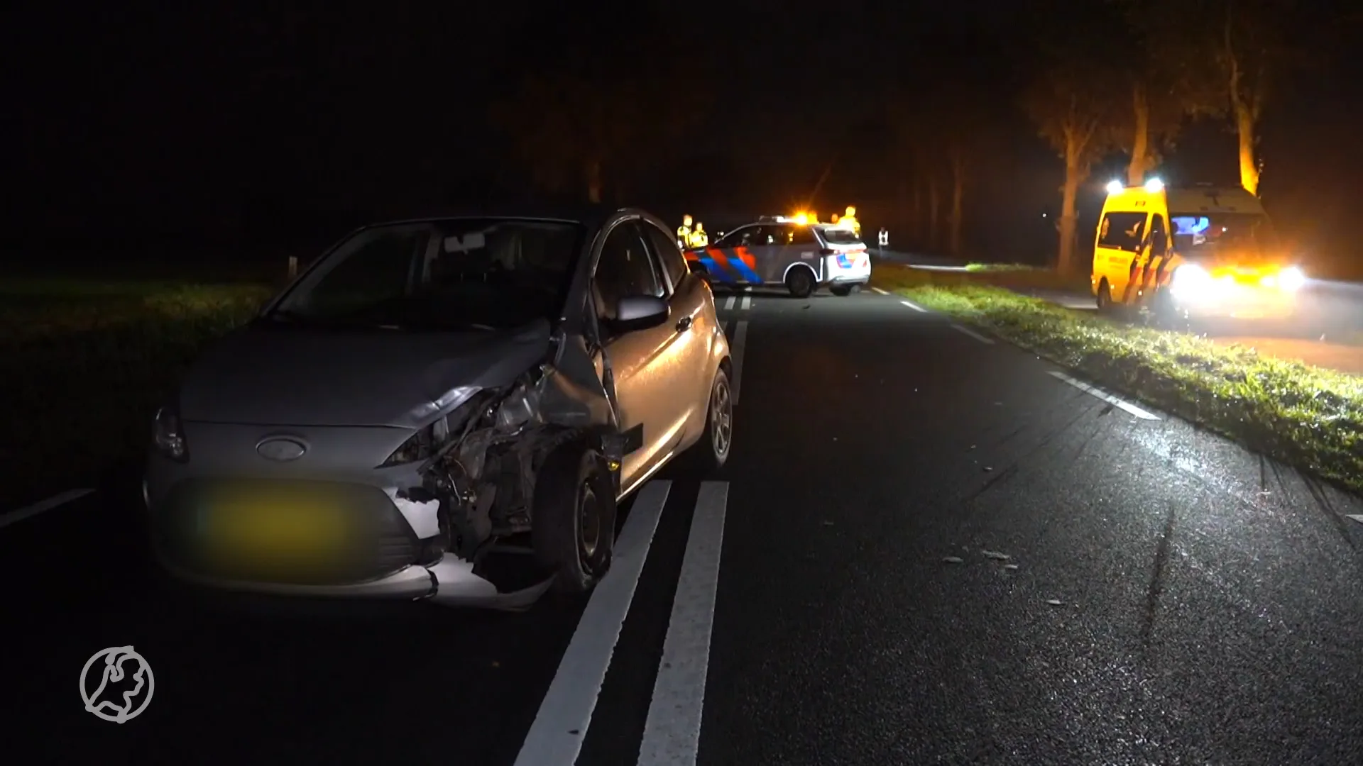Kalfje dood bij dubbele aanrijding, politieauto loopt schade op