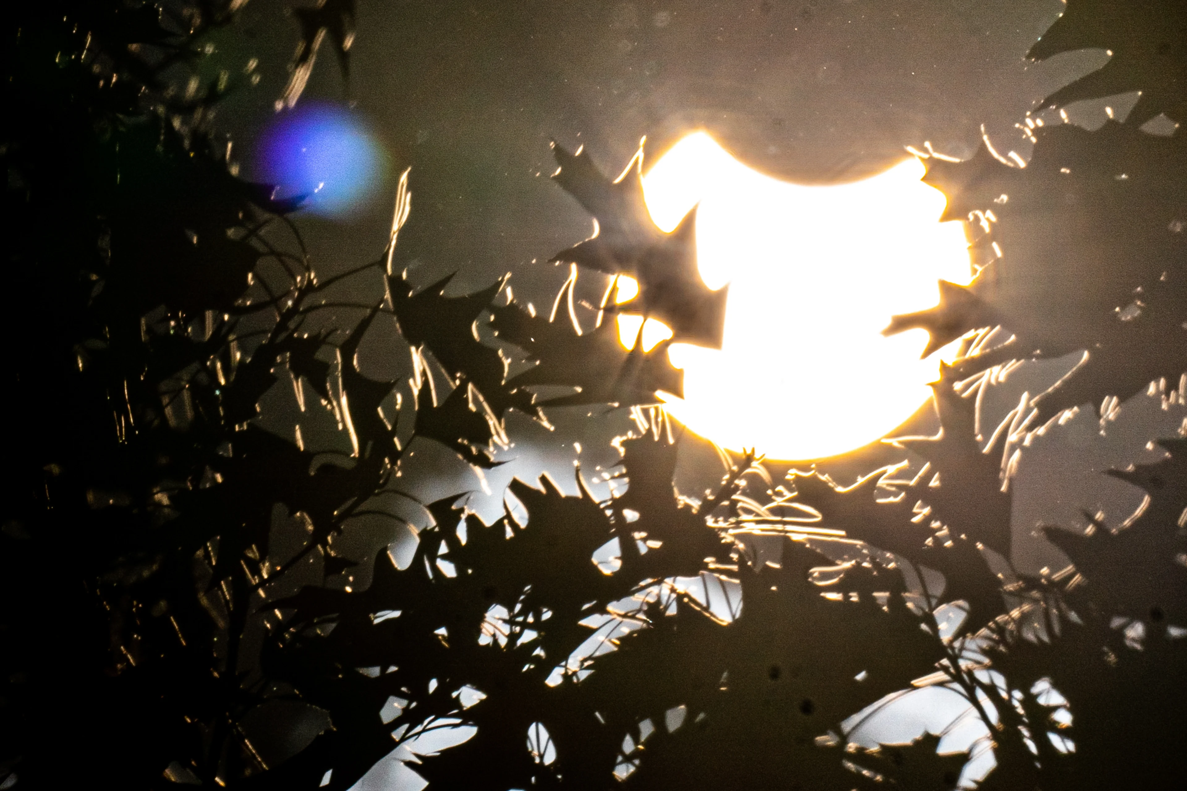 Volgende week wordt er een 'hapje uit de zon' genomen door gedeeltelijke zonsverduistering