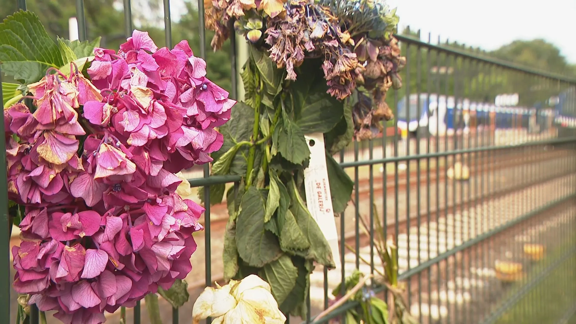 Nachtmerrie inwoners Wolfheze wordt werkelijkheid: fataal ongeluk op spoorwegovergang