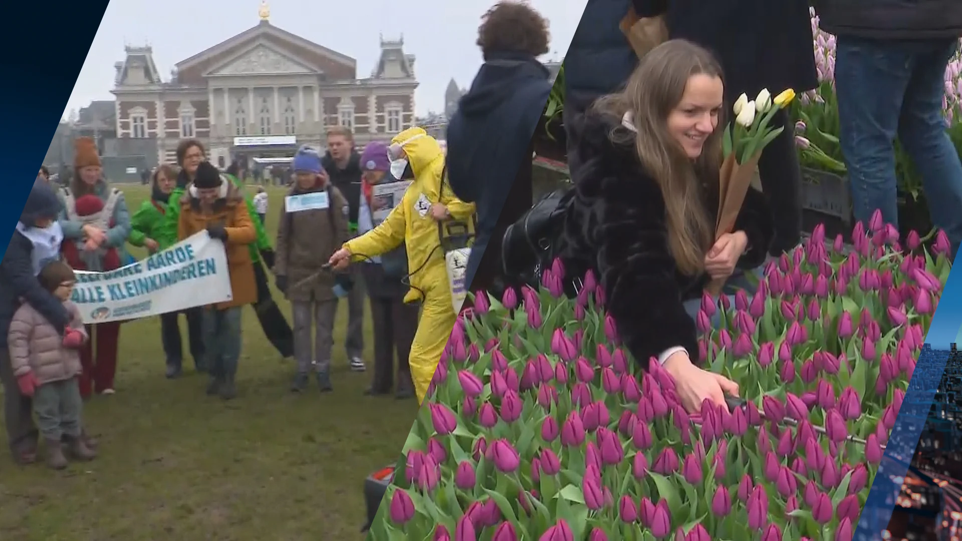 Demonstranten voeren actie op Nationale Tulpendag: 'Schadelijk voor milieu'