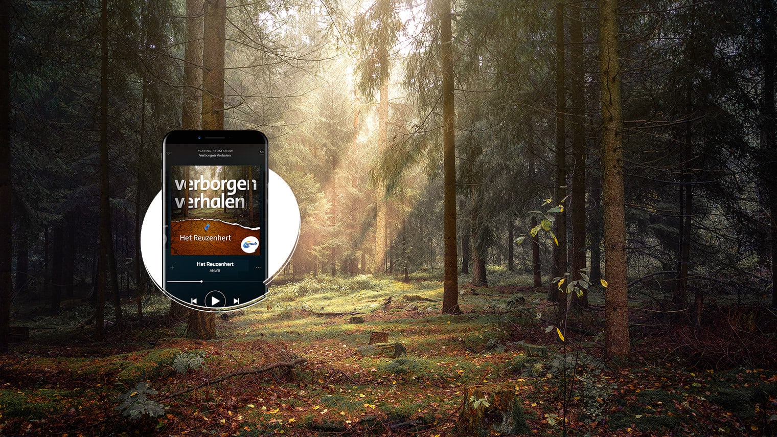 De verborgen verhalen van de herfst