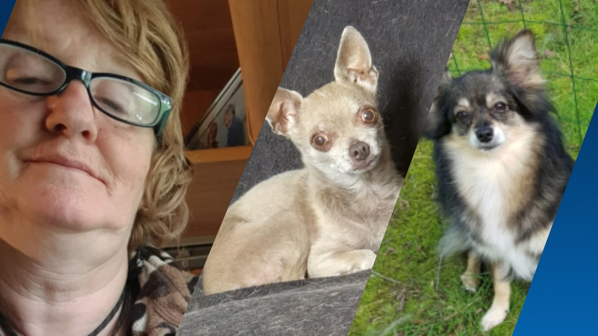 Gevonden lichaam in Valkenswaard is van vermiste Annette (59)