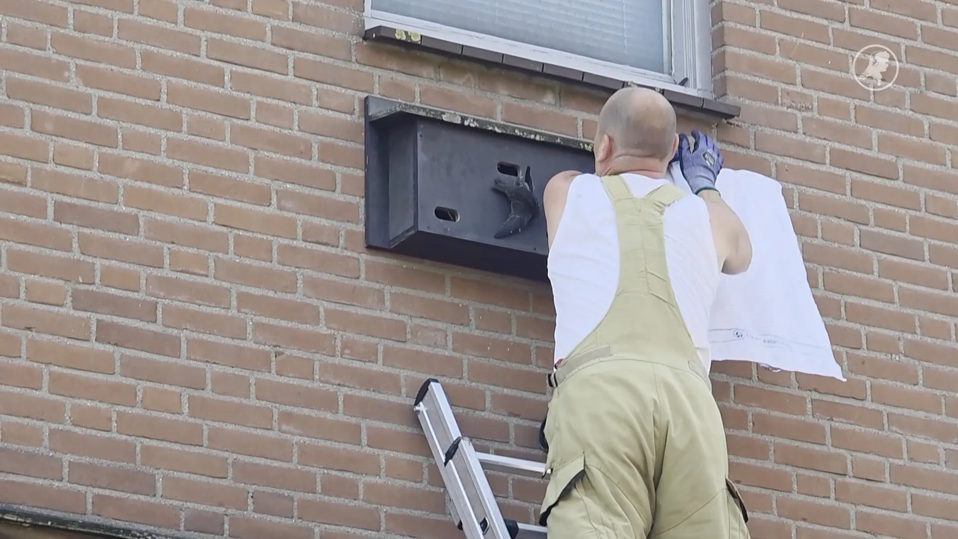 Brandweer bevrijdt vastzittende zwaluw in Wageningen