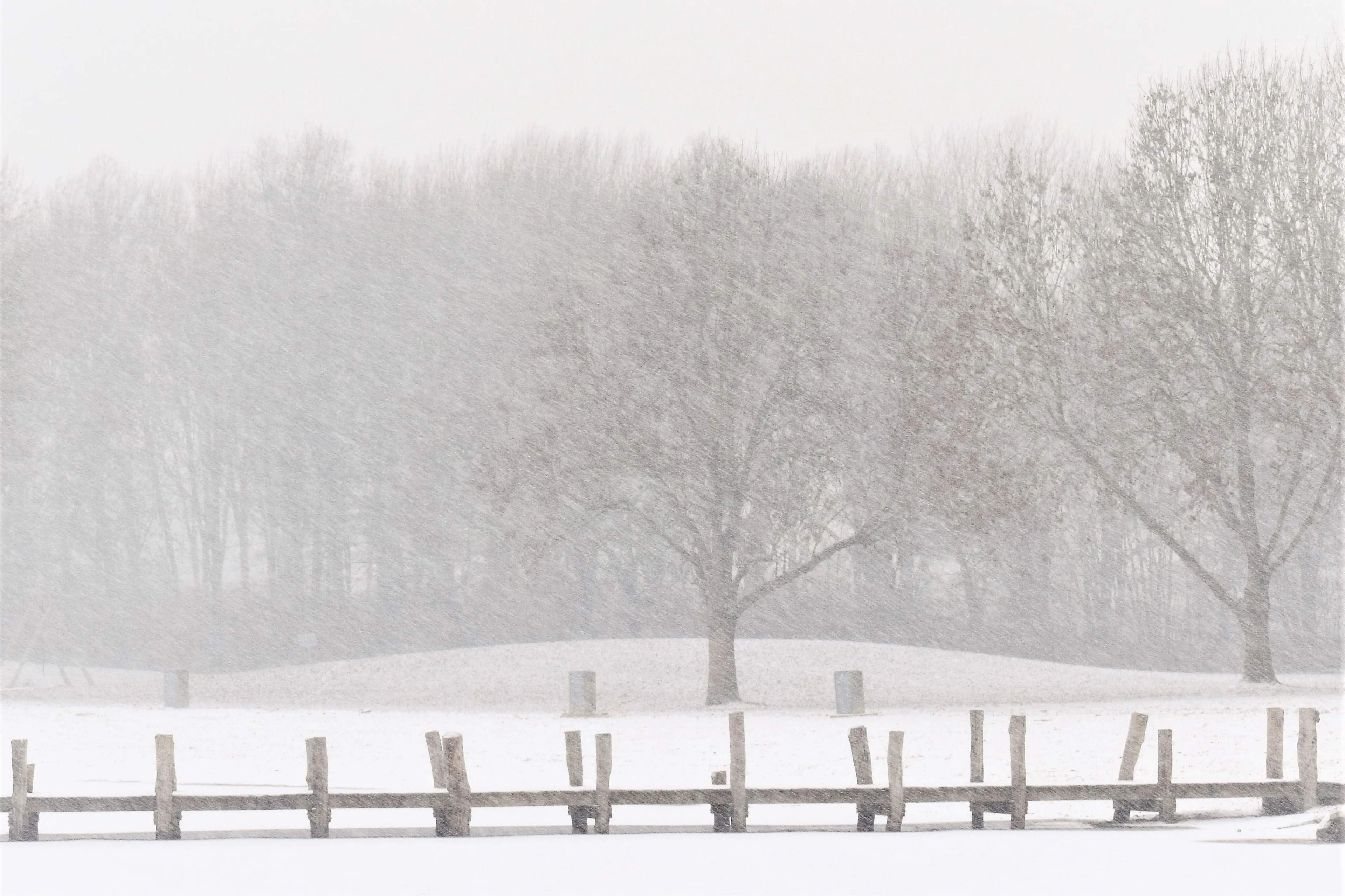 Het gaat sneeuwen! Hier moet je zijn voor de sneeuwpret