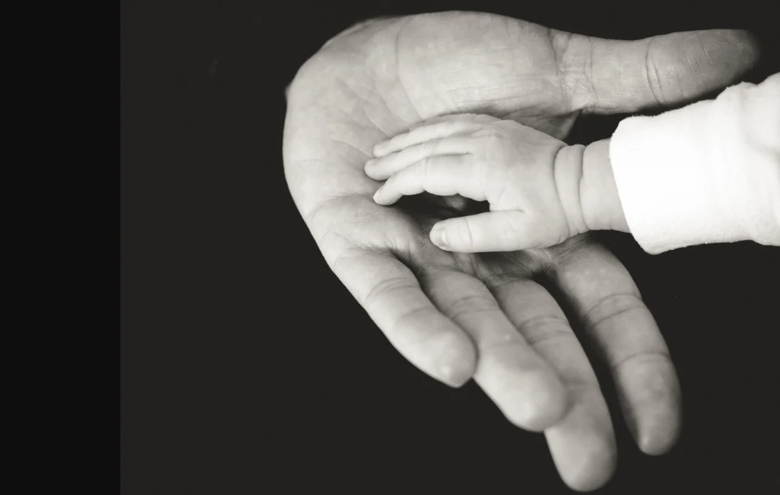 Gegevens biologische ouders van adoptiekinderen gewist