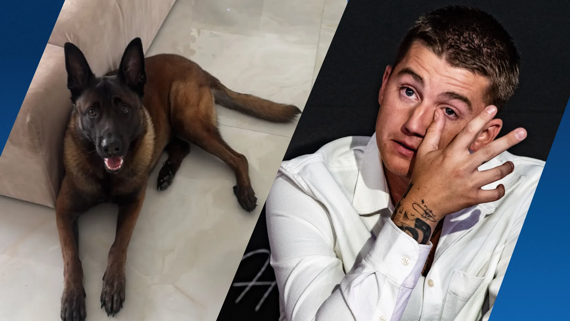 Mart Hoogkamer looft flinke beloning uit voor vermiste hond Ciro: 'We zijn er kapot van'