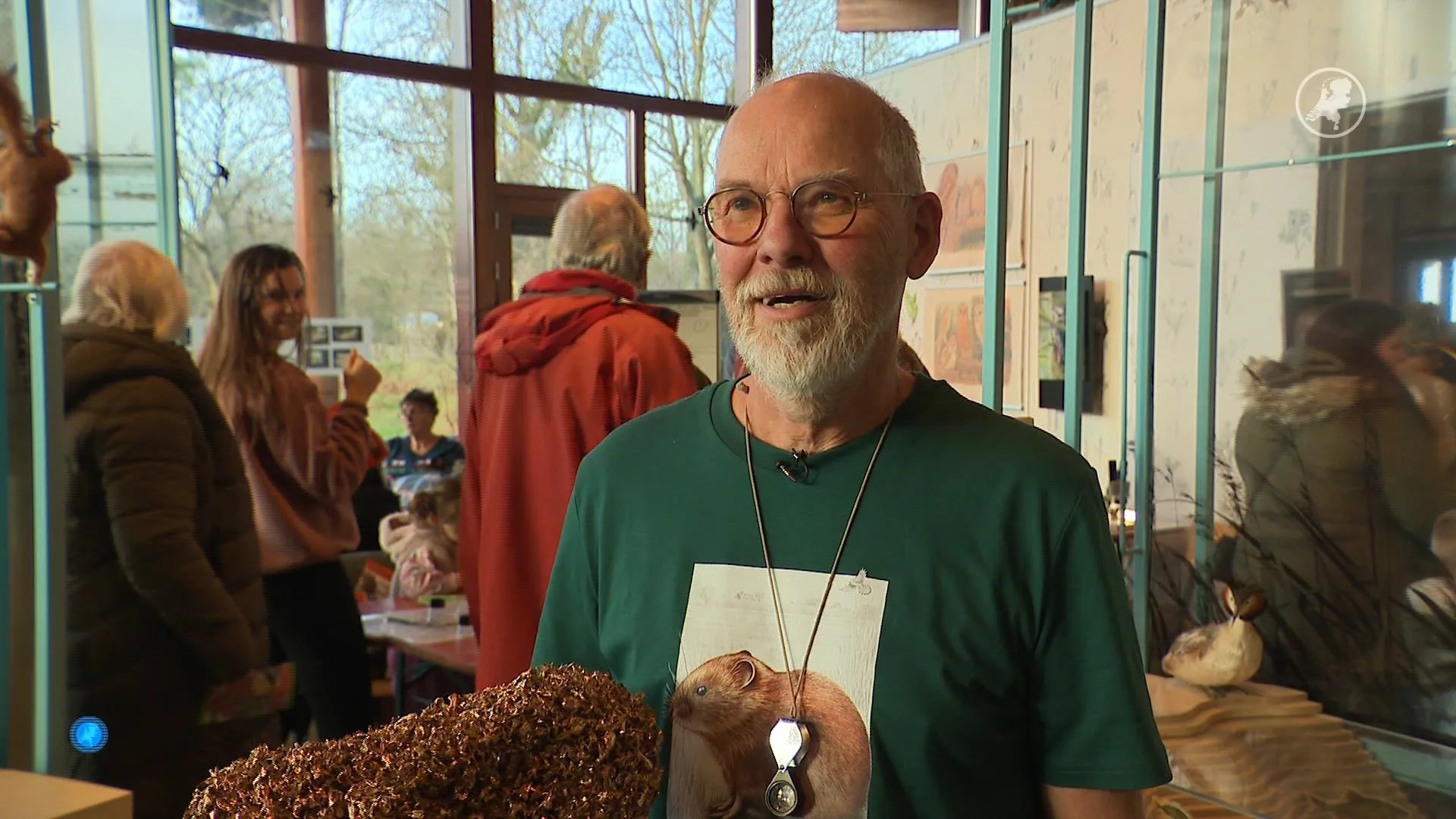 Harig en vies? Waarom kinderen hier tóch braakballen pluizen