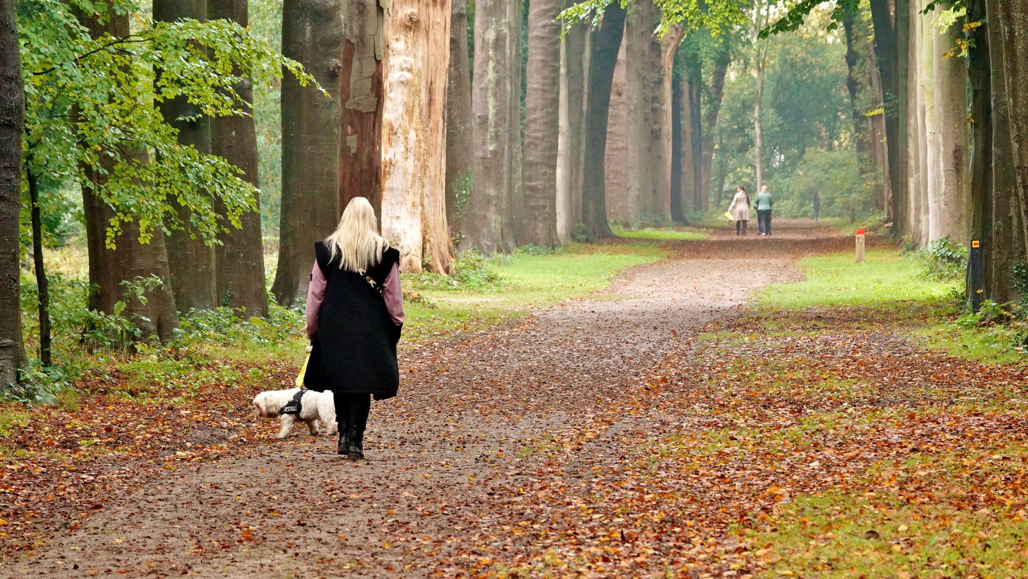Temperaturen blijven onverminderd hoog voor tijd van het jaar